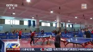 家中能放乒乓球台